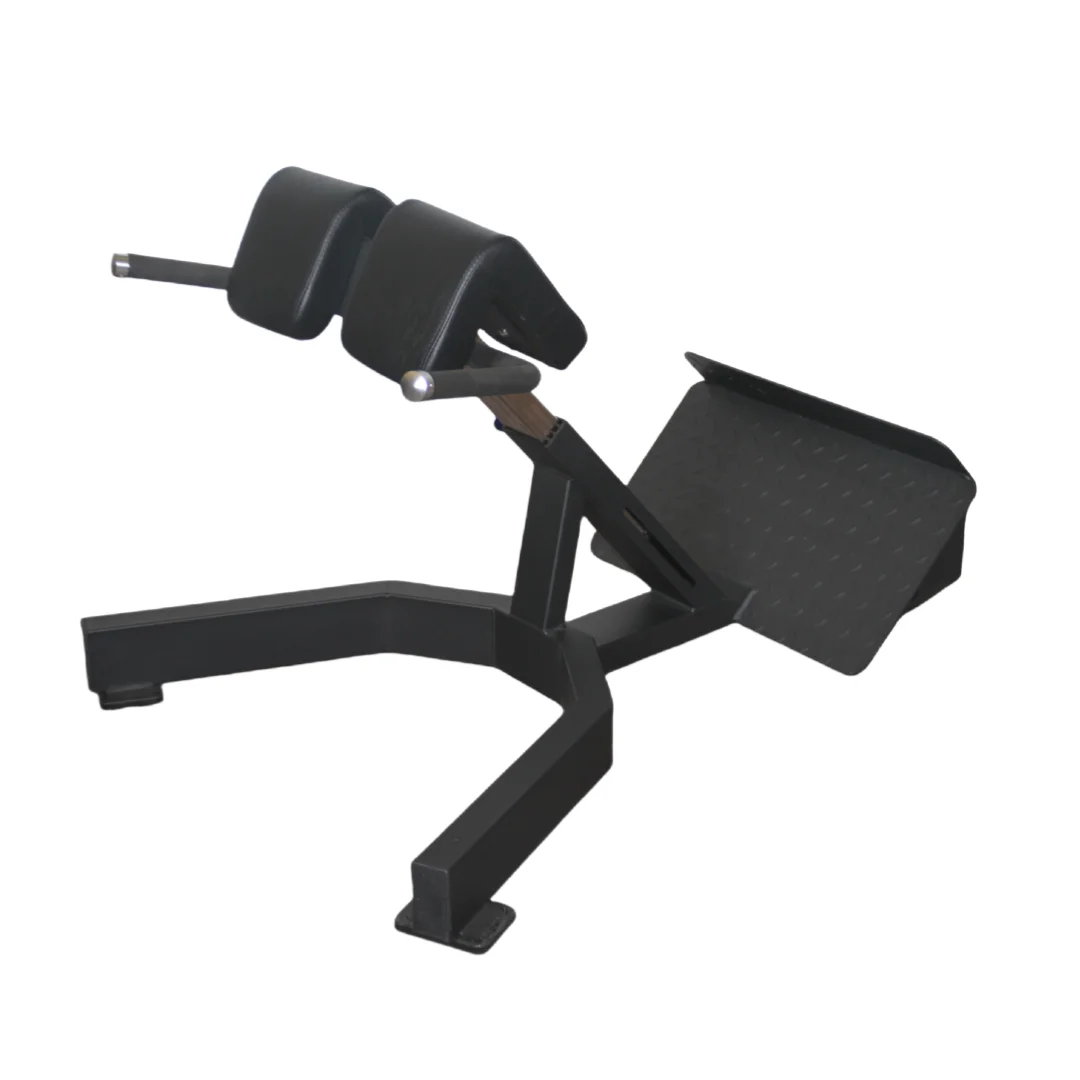 Home Gym Leg Extension - 工場価格 ローマンチェア バックエクステンションベンチ 筋力トレーニング器具 ホームジム 腰トレーニングマシン