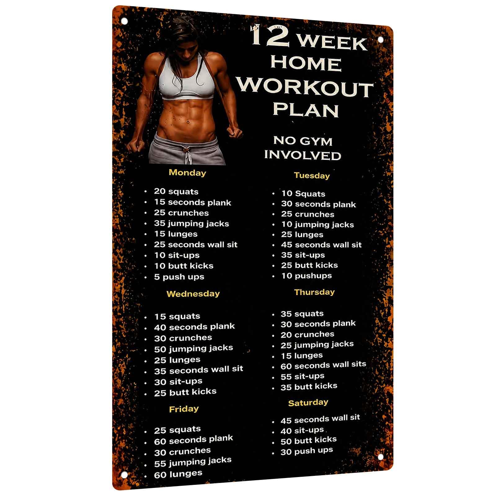 Workout Plan Home Gym - 12週間のホームワークアウトプラン用アルミニウムサイン - ジムや自宅のフィットネススペースに最適なインスピレーションを与える壁飾り、スクワット、腕立て伏せ、ウェイトリフティング用のトラッカー付き、ヴィンテージデザイン、サイズは20.32X30.48cm。