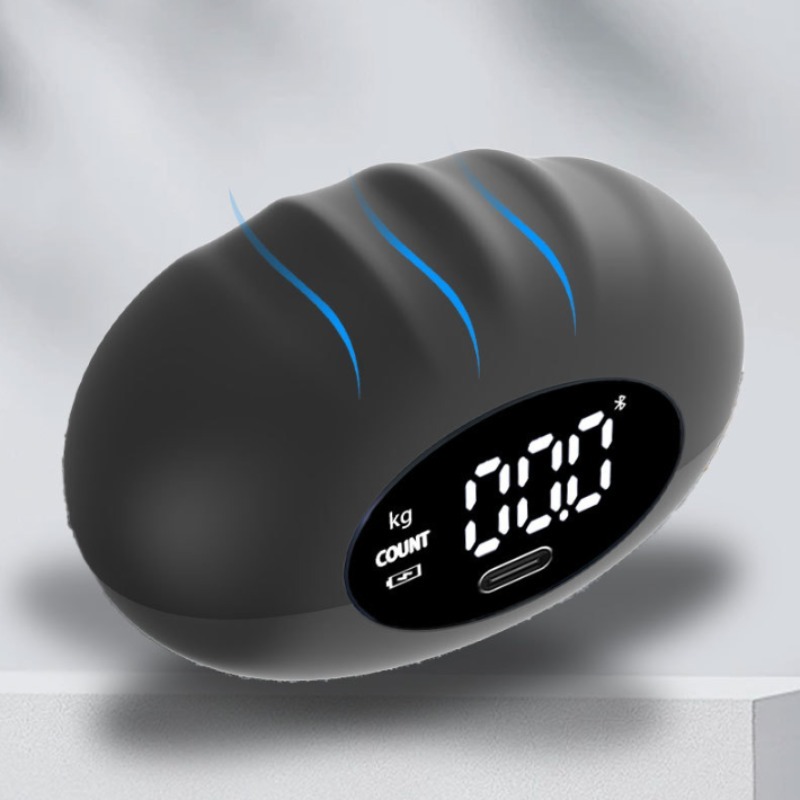 人間工学に基づいた 180kg デジタルハンドダイナモメータ - Home Gym Mini のレビューと価格