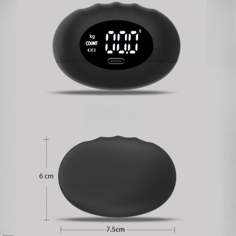 人間工学に基づいた 180kg デジタルハンドダイナモメータ - Home Gym Mini のレビューと価格