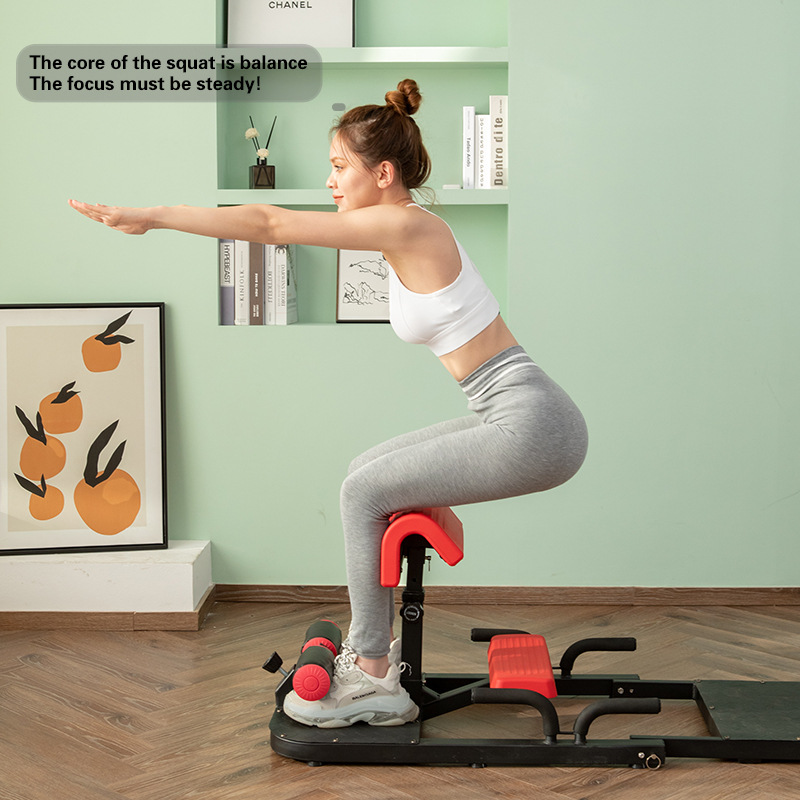 シシースクワットマシン 3-in-1 ホームジム レッグトレ - Home Gym Quad Machine のレビューと価格